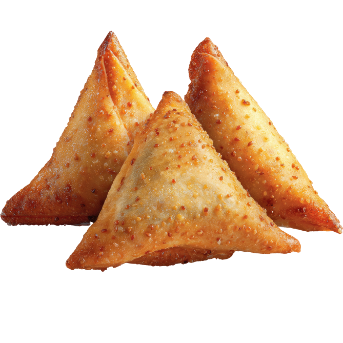 Vegetable Samosa