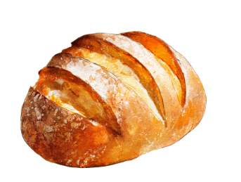 Fresh Breads